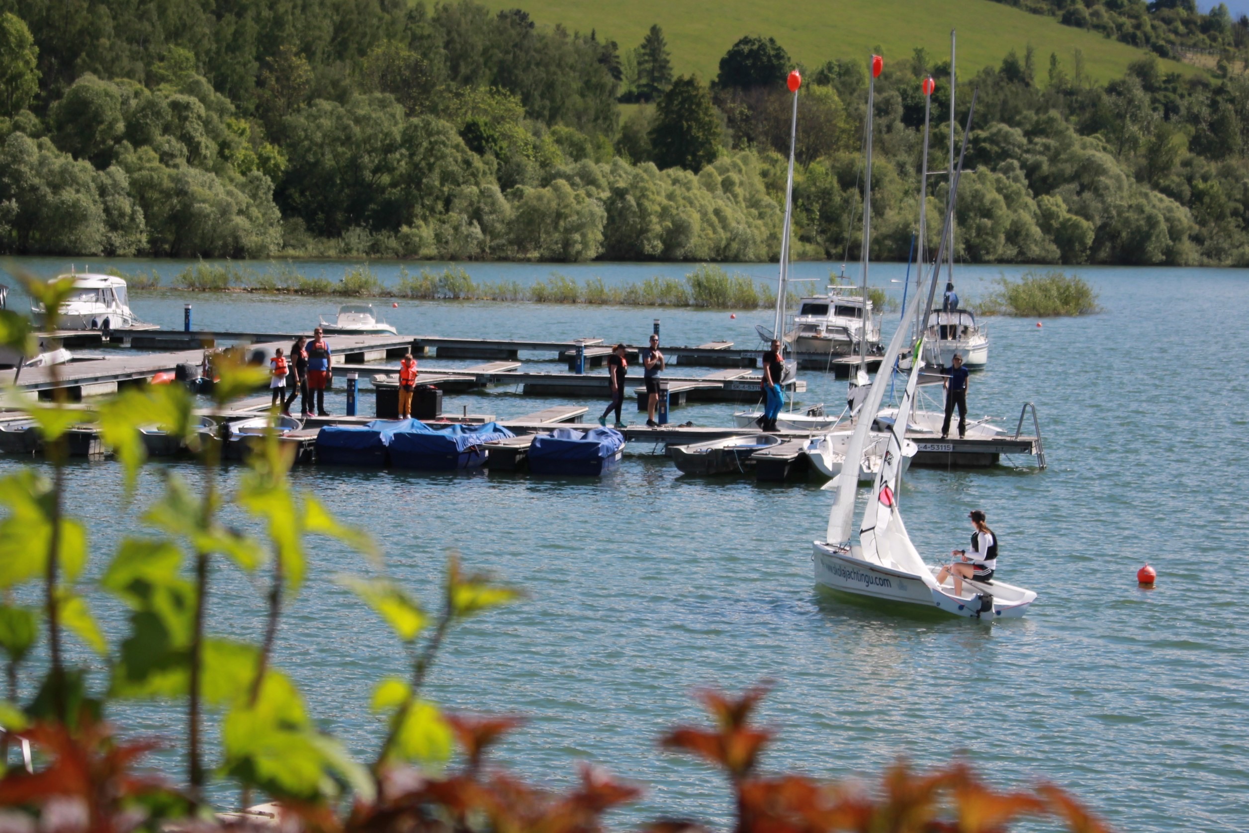 Prístav plný života